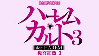 後宮狂熱_3